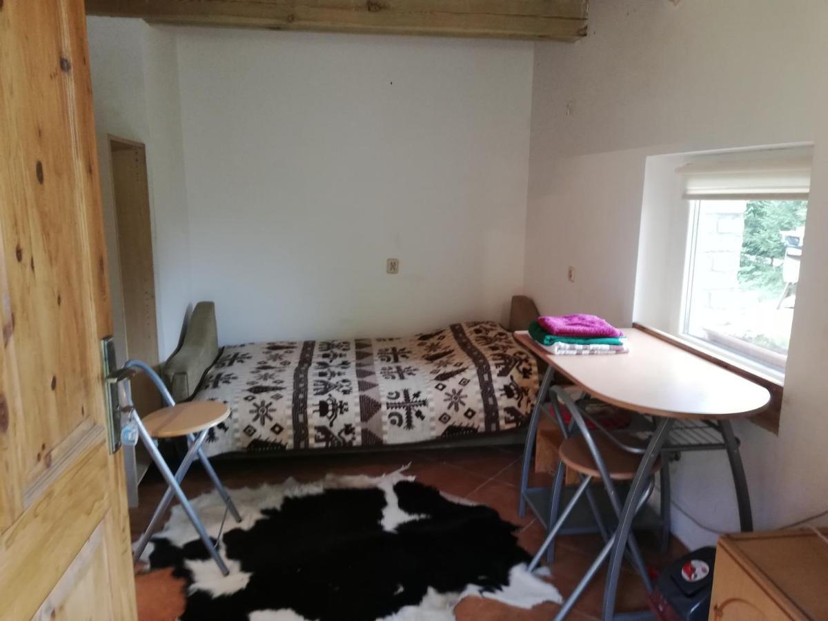 Gietrzwałd Agrojelonki Agroturystyka מראה חיצוני תמונה